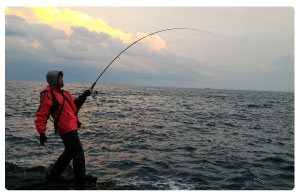 釣り